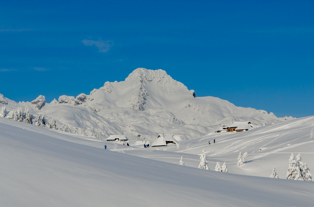 Velika Planina
